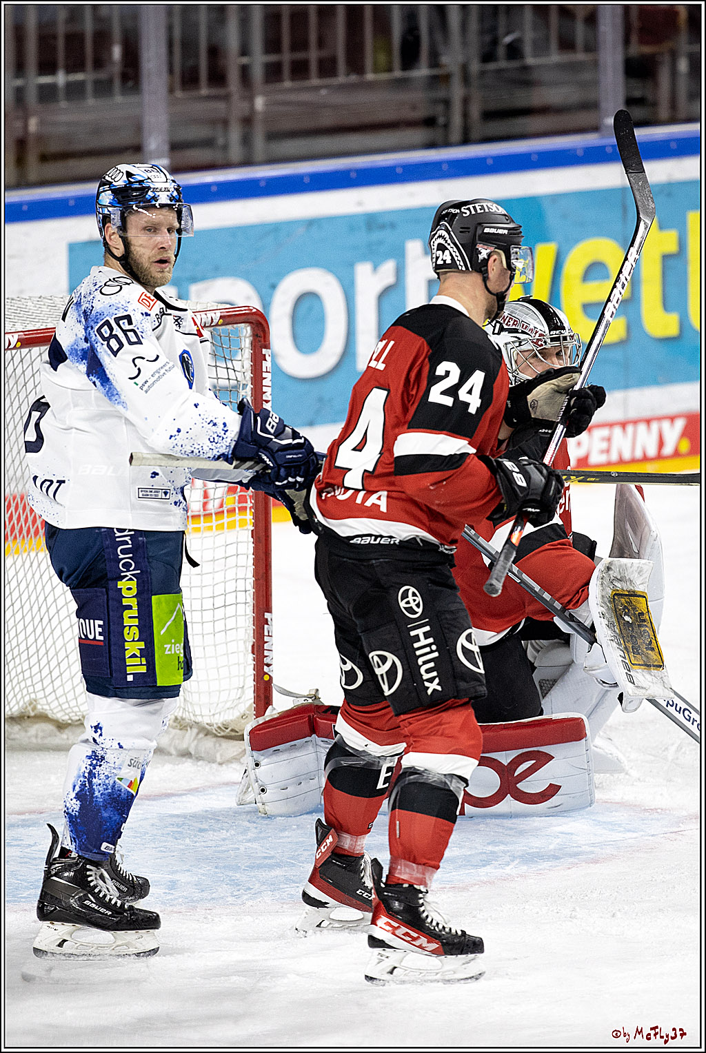 PENNY DEL;  Koelner Haie - ERC Ingolstadt; Koeln, 19.12.2021
